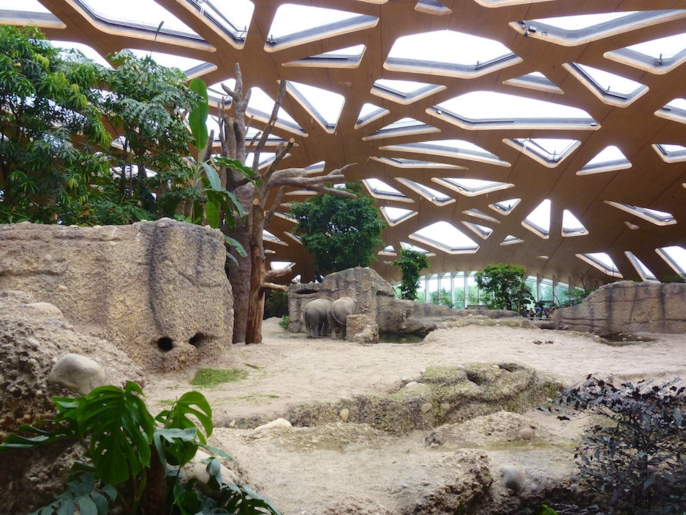 Ein Blick ins Innere der neuen Elefantenanlage im Zoo Zürich