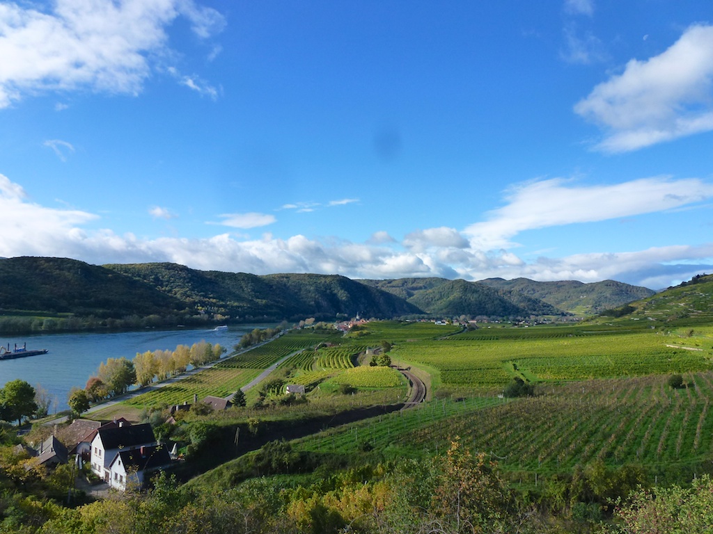 Weinreben, Weinreben, Weinreben: Blick über die Wachau-Region