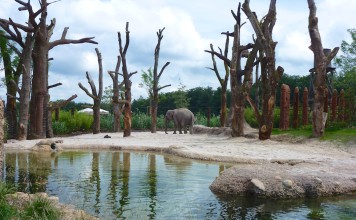 Die neue Elefanten-Aussenanlage im Zoo Zürich